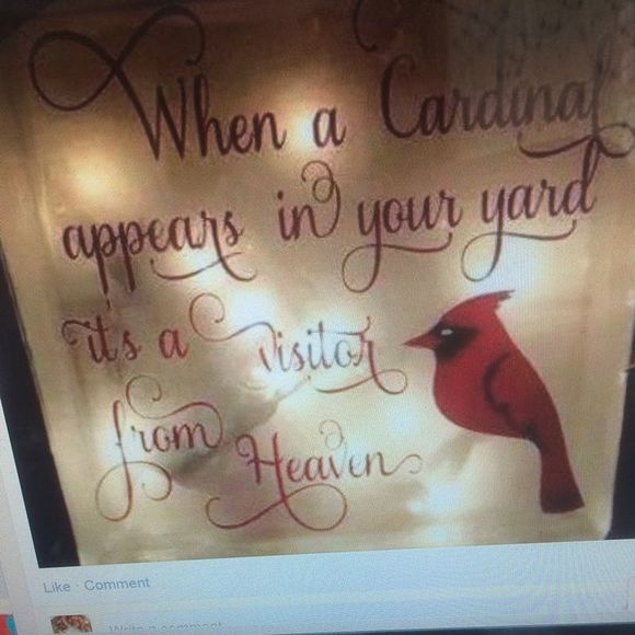 Meet your Posher, Sheila - Picture 1 of 1